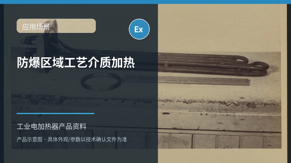 防爆区域工艺介质加热应用