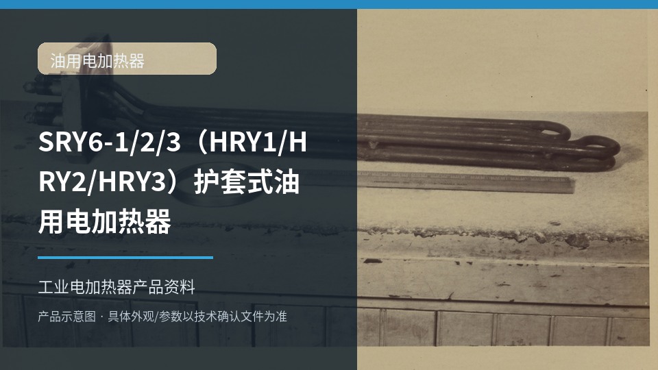 SRY6-1/2/3(HRY1/HRY2/HRY3)护套式油用电加热器