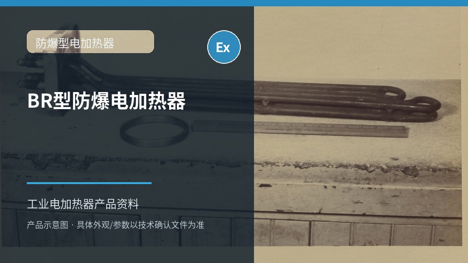 BR型防爆电加热器