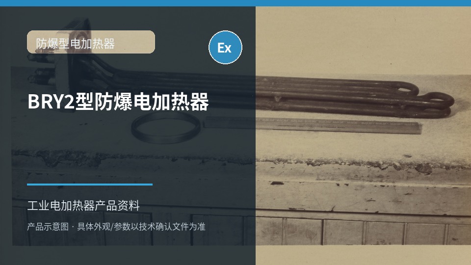 BRY2型防爆电加热器