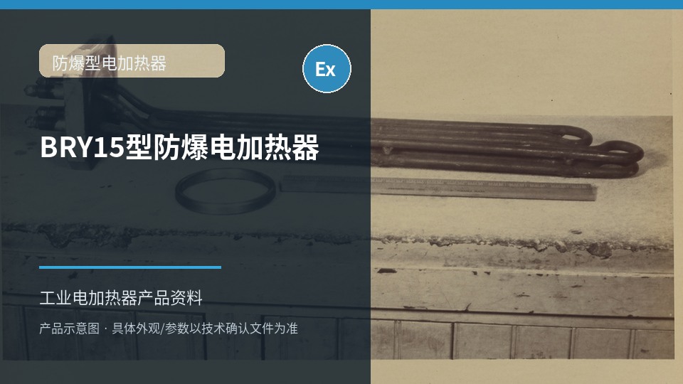 BRY15型防爆电加热器